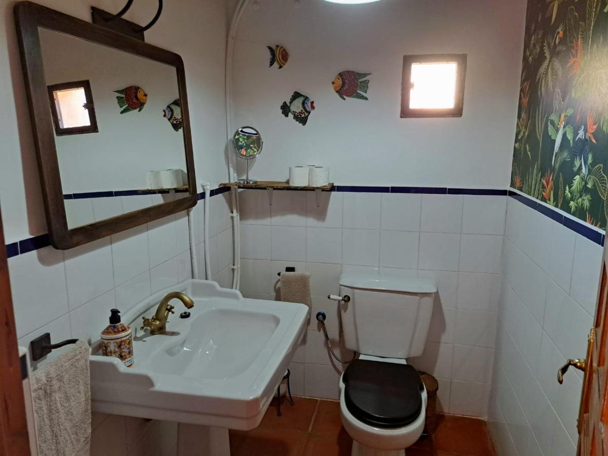 Casa Del Trotamundos Vendégház Villamayor de Campos Kültér fotó